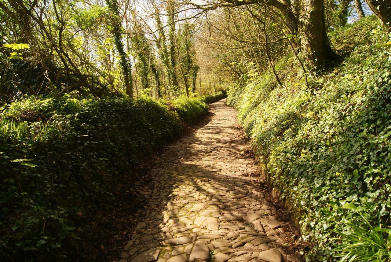 The Old Smithy Bed & Breakfast Clovelly Bagian luar foto